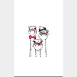 Ostrich Family Posters and Art